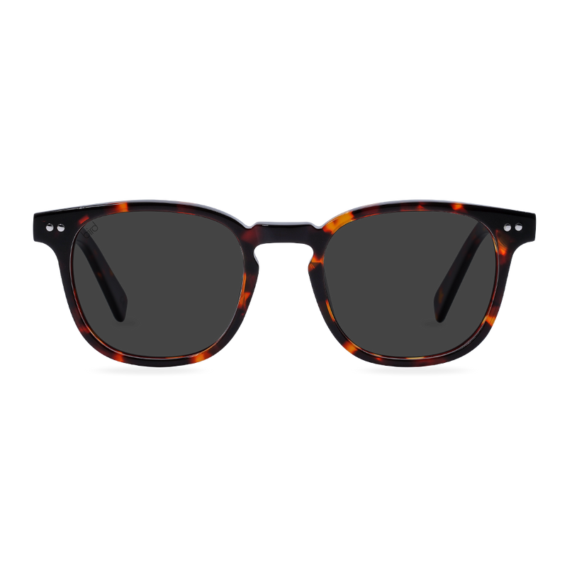 Alba | Tortoiseshell (small)